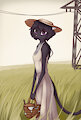 Taller grass zone by CDT