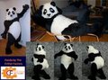 Panda Fursuit from 2 years ago by The Critter Factory