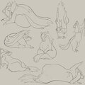 Linoone Sketches by Pinnipip