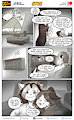 Cats n Cameras Strip 735 - About time by cheetahjab