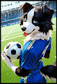 Finley the Soccer Dog Gift