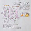 My fire Bunny sona OC selves - Me Chris and Christy by FidelTheMouse