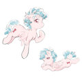 Pony