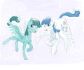 Pegasus Mares