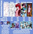 Commission Price Sheet! by redpandacase