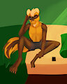 A sleepy Skunk by Noxara