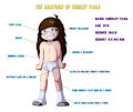 The Anatomy of Shirley Vaga (Commission) by EmperorCharm