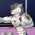 Saphir Working Out