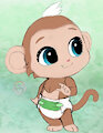 coco the baby monkey