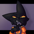Disapproval 1/2