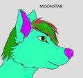 Feral moonie wolf