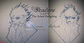 Shadow the Astral Hedgehog - By RacheTheFictionkin by RachelTheFictionkin