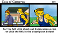 Cats n Cameras Strip #171