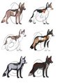 Fox Adoptables