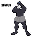 Korvus - The explosive teacher with the soul of a poet. by Geminusart