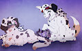 Spotty Family *Commission* by Spotty2Wily