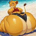 Simba at the Beach