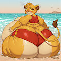 Simba at the beach