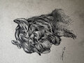 MCFC 2024 Graphite Commission - Lionness by zaverose