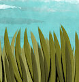 grass by Robyn2827