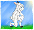 The Adventure Begins by TaintedThylacine