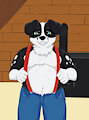 Banjo