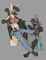 Furcoat change demonstration by TFW