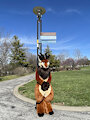 Streetsign by sergeanthax