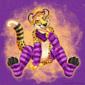 Cheetah Sockies by WienerDogWorks