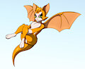 Fidget