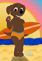 Surf's Up Zuma by mysidedeck