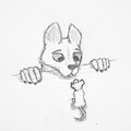 The Wolf and the Mouse - Cover