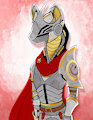 Paladin noodle by SonieTheDog