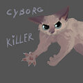 Cyborg killer