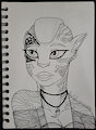 Mi'niri Redesign