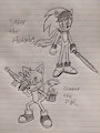Saber The Hedgehog & Gunner The Fox by SomeCat01