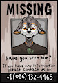 Missing fursons by CurlyShep