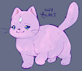 Stars Kitten