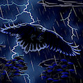Raven thingie by ConfusedRaven