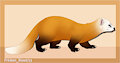 japanese marten by FrickenStoat