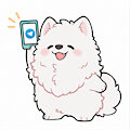 A Telegram For A Dog