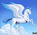 Phyneus