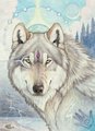 Wolf of Samhain - by Golden Wolf 
