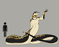 King Snake Naga Character Model - Aeryana by FossilArt