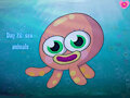 Maycean Day 26: sea animals