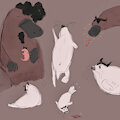 Platypus and seal
