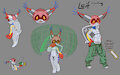 Leif the Aerocat