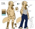 T.B. Reference Sheet by TailBiter