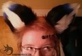 Custom Necomimi Ears - Emogene Husky by RowdyMonster