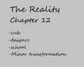 The Reality Chapter 12